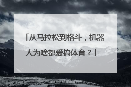 从马拉松到格斗，机器人为啥都爱搞体育？