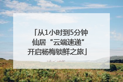 从1小时到5分钟 仙居“云端速递”开启杨梅锁鲜之旅