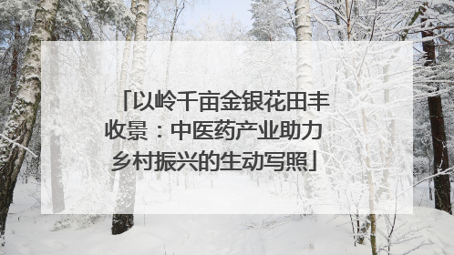 以岭千亩金银花田丰收景：中医药产业助力乡村振兴的生动写照