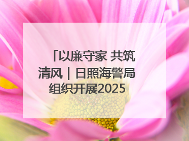 以廉守家 共筑清风｜日照海警局组织开展2025年集中送廉活动
