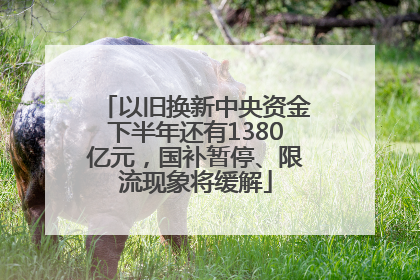 以旧换新中央资金下半年还有1380亿元，国补暂停、限流现象将缓解