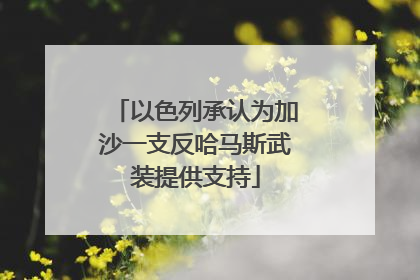以色列承认为加沙一支反哈马斯武装提供支持