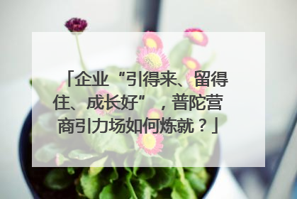 企业“引得来、留得住、成长好”，普陀营商引力场如何炼就？