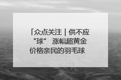 众点关注｜供不应“球” 涨幅超黄金 价格亲民的羽毛球为何身价飞涨？