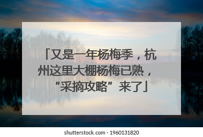 又是一年杨梅季，杭州这里大棚杨梅已熟，“采摘攻略”来了