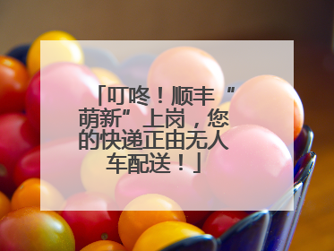 叮咚！顺丰“萌新”上岗，您的快递正由无人车配送！