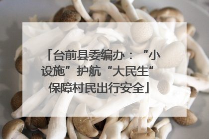 台前县委编办：“小设施”护航“大民生” 保障村民出行安全