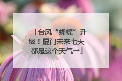 台风“蝴蝶”升级！厦门未来七天都是这个天气→