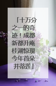 十万分之一的奇迹！成都新都升庵桂湖惊现今年首朵并蒂莲