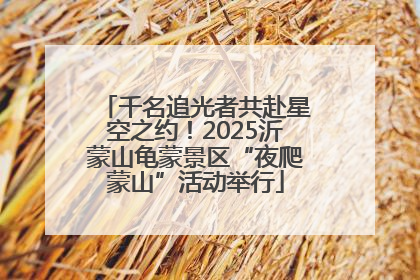 千名追光者共赴星空之约！2025沂蒙山龟蒙景区“夜爬蒙山”活动举行