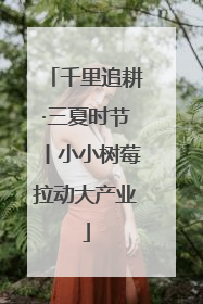 千里追耕·三夏时节丨小小树莓拉动大产业