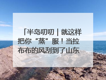 半岛叨叨｜就这样把你“蒸”服！当拉布布的风刮到了山东馒头界……