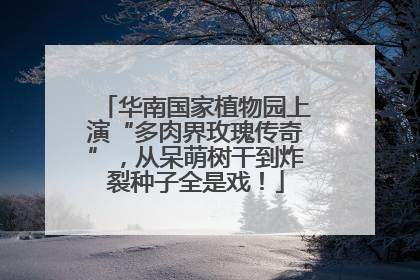 华南国家植物园上演“多肉界玫瑰传奇”，从呆萌树干到炸裂种子全是戏！