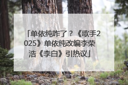 单依纯咋了？《歌手2025》单依纯改编李荣浩《李白》引热议