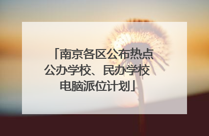 南京各区公布热点公办学校、民办学校电脑派位计划