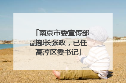 南京市委宣传部副部长张政，已任高淳区委书记