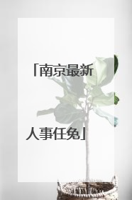 南京最新人事任免