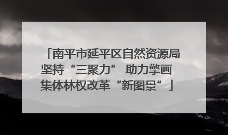 南平市延平区自然资源局坚持“三聚力” 助力擎画集体林权改革“新图景”