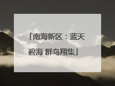南海新区：蓝天碧海 群鸟翔集
