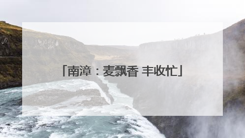 南漳：麦飘香 丰收忙