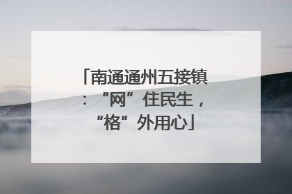 南通通州五接镇：“网”住民生，“格”外用心