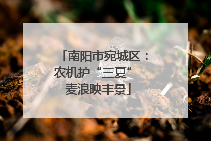南阳市宛城区：农机护“三夏” 麦浪映丰景