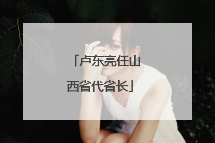 卢东亮任山西省代省长