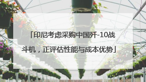 印尼考虑采购中国歼-10战斗机，正评估性能与成本优势