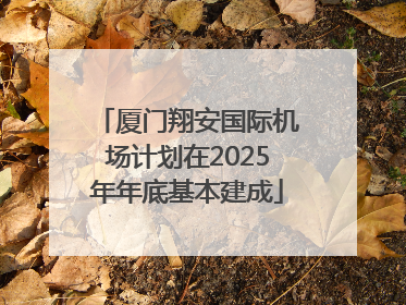 厦门翔安国际机场计划在2025年年底基本建成