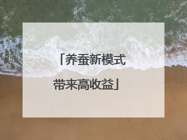 养蚕新模式带来高收益