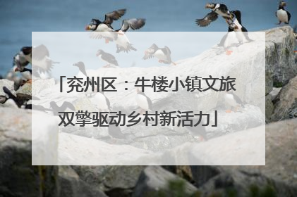 兖州区：牛楼小镇文旅双擎驱动乡村新活力