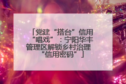 党建“搭台”信用“唱戏”：宁阳华丰管理区解锁乡村治理“信用密码”