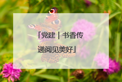 党建｜书香传递阅见美好