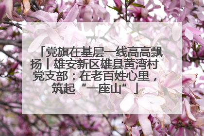 党旗在基层一线高高飘扬丨雄安新区雄县黄湾村党支部：在老百姓心里，筑起“一座山”