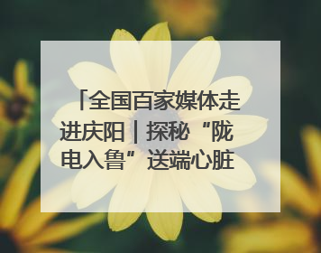 全国百家媒体走进庆阳｜探秘“陇电入鲁”送端心脏 庆阳驭风沐光点亮齐鲁万家
