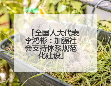 全国人大代表李鸿彬：加强社会支持体系规范化建设