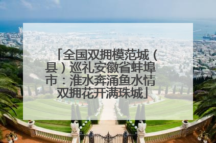 全国双拥模范城（县）巡礼安徽省蚌埠市：淮水奔涌鱼水情 双拥花开满珠城