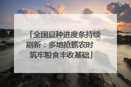 全国夏种进度条持续刷新：多地抢抓农时 筑牢粮食丰收基础