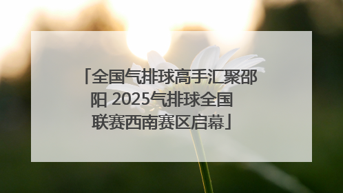 全国气排球高手汇聚邵阳 2025气排球全国联赛西南赛区启幕