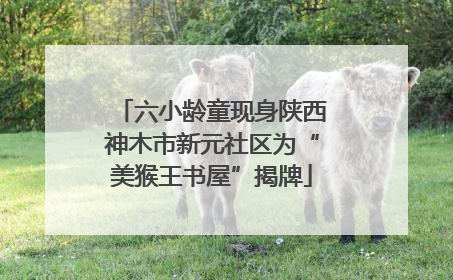 六小龄童现身陕西神木市新元社区为“美猴王书屋”揭牌