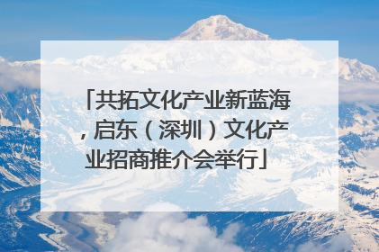 共拓文化产业新蓝海，启东（深圳）文化产业招商推介会举行