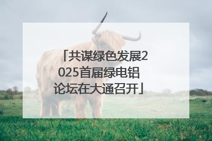共谋绿色发展2025首届绿电铝论坛在大通召开
