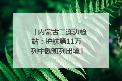 内蒙古二连边检站：护航第11万列中欧班列出境