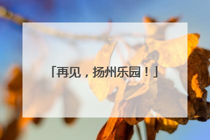 再见，扬州乐园！