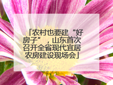 农村也要建“好房子”，山东首次召开全省现代宜居农房建设现场会