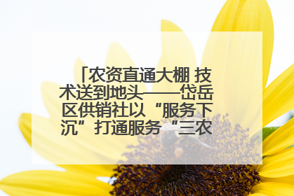 农资直通大棚 技术送到地头——岱岳区供销社以“服务下沉”打通服务“三农”最后一公里