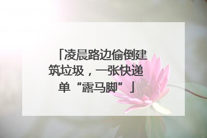 凌晨路边偷倒建筑垃圾，一张快递单“露马脚”
