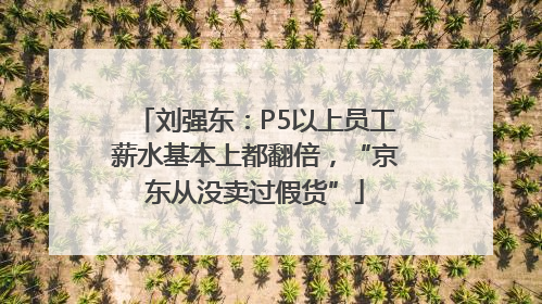 刘强东：P5以上员工薪水基本上都翻倍，“京东从没卖过假货”