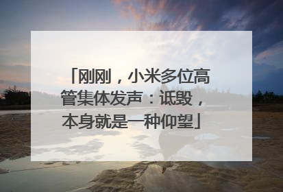 刚刚，小米多位高管集体发声：诋毁，本身就是一种仰望