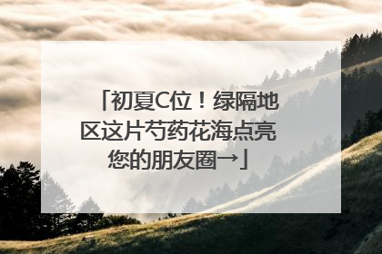 初夏C位！绿隔地区这片芍药花海点亮您的朋友圈→